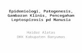 Leptospirosis Haidar