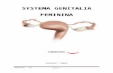SYSTEMA GENITALE FEMININA