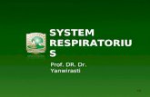 3.31 Anatomi Sistem Respiratorius