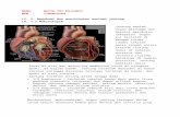 Memahami Dan Menjelaskan Anatomi Jantung