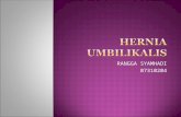 Hernia Umbilikalis