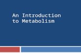 Energy and Metabolism