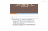 glandula salivarius.pdf