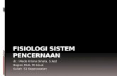 Fisiologi Sistem Pencernaan (Dr.krisna)