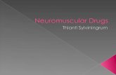 Neuromuscular Drug 2010