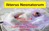 Ikterus Neonatorum Presentasi