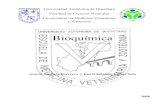 Texto de Bioquímica 2008 para PDF