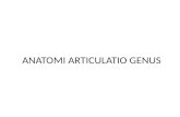 Anatomi Articulatio Genus