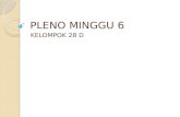 PLENO MINGGU 6