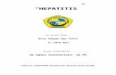 Hepatitis REFERAT