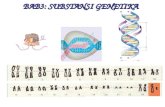 Bab 3 Substansi Genetika.ppt Perbaikan