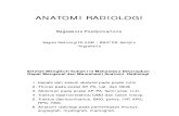 Anatomi Radiologi 1