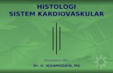 Histologi Sistem Kardiovaskular