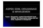 6_Aspek SDM, Organisasi & Manajemen_OK