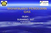 Signifikansi Pengujian Gas