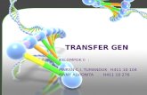 Transfer Gen (Kelompok II)