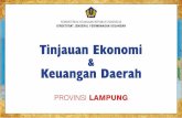 Tinjauan Ekonomi & Keuangan Daerah Provinsi Lampung