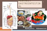 Gizi pada Penyakit Gastrointestinal.2012.ppt
