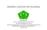 Herpes Zoster Oftalmika3.ppt