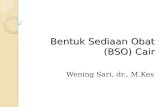 BSO CAIR 2012.ppt