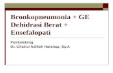Bronkopneumonia + GE Dehidrasi Berat +