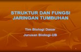 biodas struktur & fungsi jaringan tumbuhan edit.pdf