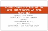 Honk (Hiperosmolar Non-ketotik)