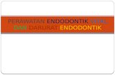 perawatan endodontik