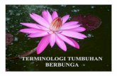 TERMINOLOGI TUMBUHAN BERBUNGA 170913 (2)