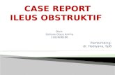 laporan kasus ileus