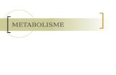 faal metabolisme