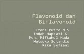 Flavonoid Dan Biflavonoid Fix