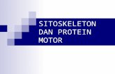 7. Sitoskeleton Dan Protein Motoredit
