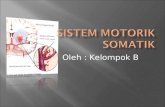 SISTEM SOMATIK MOTORIK.ppt
