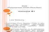 PCR& RFLP (A1)