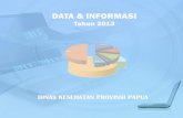 Data Dan Informasi Kesehatan Papua 2013