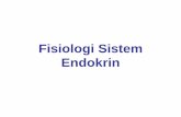 Fisiologi Sistem Endokrin KBK