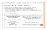 Cognitive Mapping