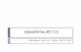 (Addin) Endophtalmitis