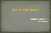 Leptospirosis pRESENTASI