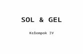 SOL & GEL