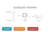 PPT ASF Part Alkaloid Alam IFA