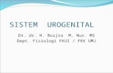 Dr Busjra - Fkumj Fisiologi Sist Urogenital 2012