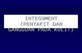 INTEGUMENT (Bhn Kuliah Prof) (1)