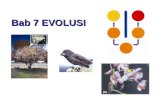Bab 7 Evolusi SMA IPA