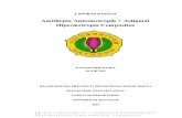 Ambliopia Anisometropik + Astigmatisma Hipermetropia Compositus