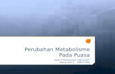 PPT Perubahan Metabolisme Pada Puasa Revisi
