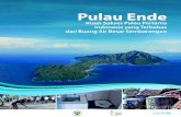 Pulau Ende. Kisah Sukses Pulau Pertama di Indonesia yang Terbebas dari Buang Air Besar Sembarangan