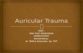 Auricular Trauma Ppt