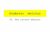 Diabetes  Melitus.ppt